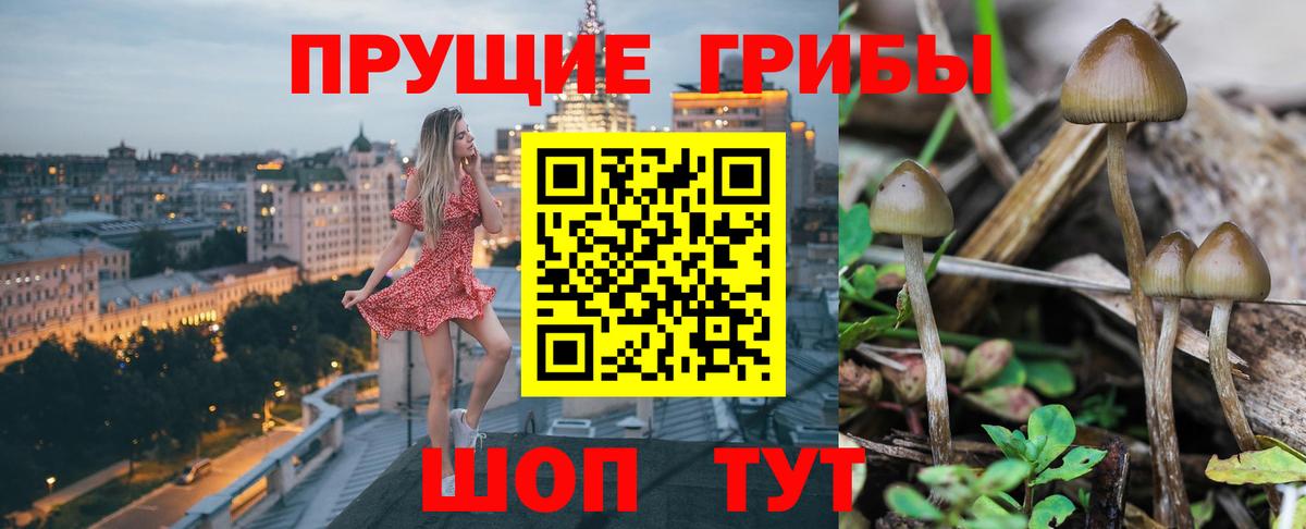 Галлюциногенные грибы Cubensis  Вход с VPN  Нарткала 